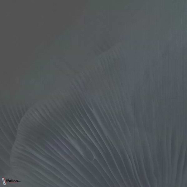 Siren Song Tapete-Tecnografica-Blue A-Fabric Vinyl-M2-Selected Wallpapers-Interiors