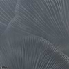 Siren Song Tapete-Tecnografica-Blue B-Fabric Vinyl-M2-Selected Wallpapers-Interiors