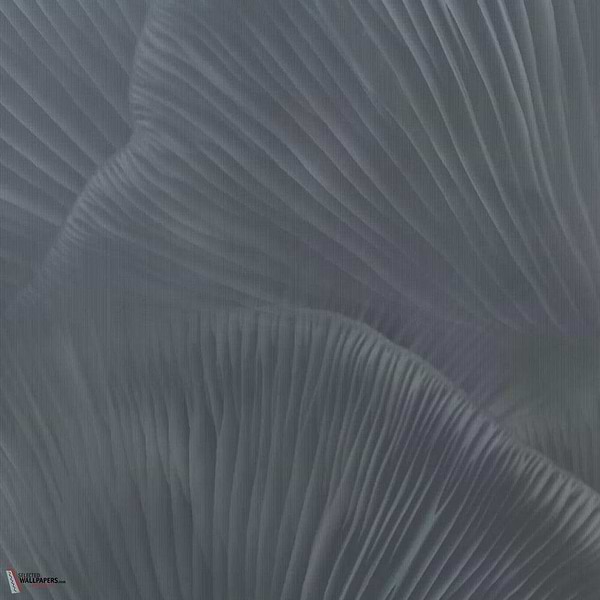Siren Song Tapete-Tecnografica-Blue B-Fabric Vinyl-M2-Selected Wallpapers-Interiors