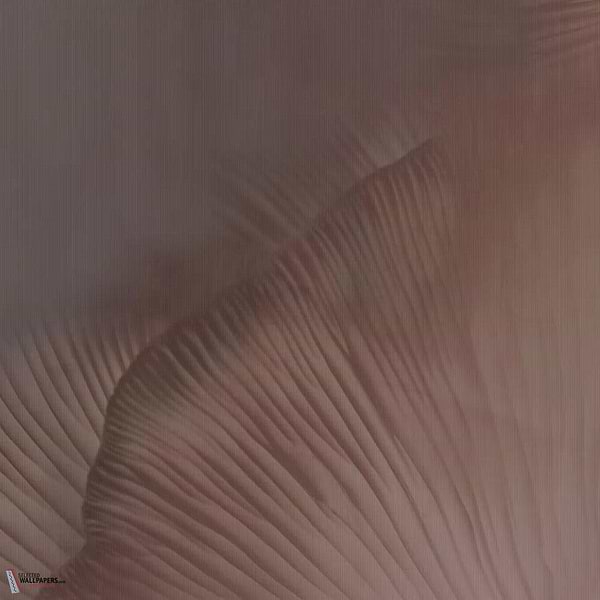 Siren Song Tapete-Tecnografica-Coral A-Fabric Vinyl-M2-Selected Wallpapers-Interiors