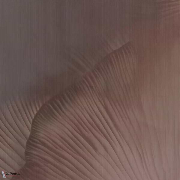 Siren Song Tapete-Tecnografica-Coral A-Fabric Vinyl-M2-Selected Wallpapers-Interiors