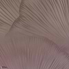Siren Song Tapete-Tecnografica-Coral B-Fabric Vinyl-M2-Selected Wallpapers-Interiors