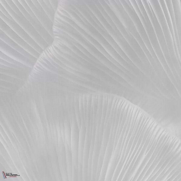 Siren Song Tapete-Tecnografica-Pearl B-Fabric Vinyl-M2-Selected Wallpapers-Interiors