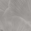 Siren Song Tapete-Tecnografica-Taupe B-Fabric Vinyl-M2-Selected Wallpapers-Interiors
