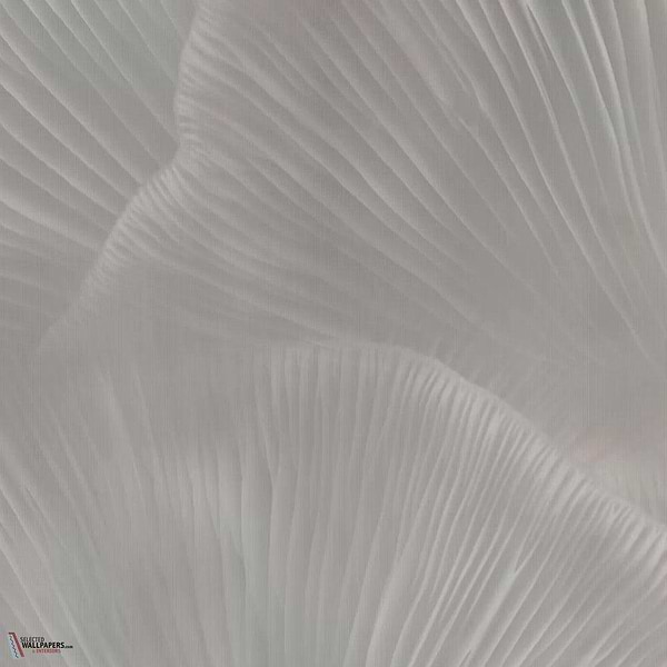 Siren Song Tapete-Tecnografica-Taupe B-Fabric Vinyl-M2-Selected Wallpapers-Interiors