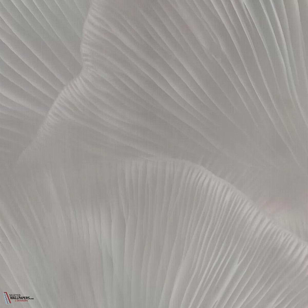 Siren Song Tapete-Tecnografica-Taupe B-Fabric Vinyl-M2-Selected Wallpapers-Interiors