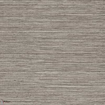 Sombra behang-Arte-Aged Cedar-Rol-Selected-Wallpapers-Interiors