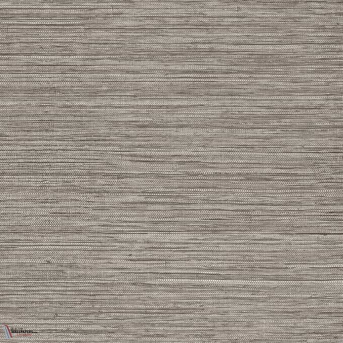 Sombra behang-Arte-Aged Cedar-Rol-Selected-Wallpapers-Interiors