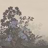 GLXVI382A