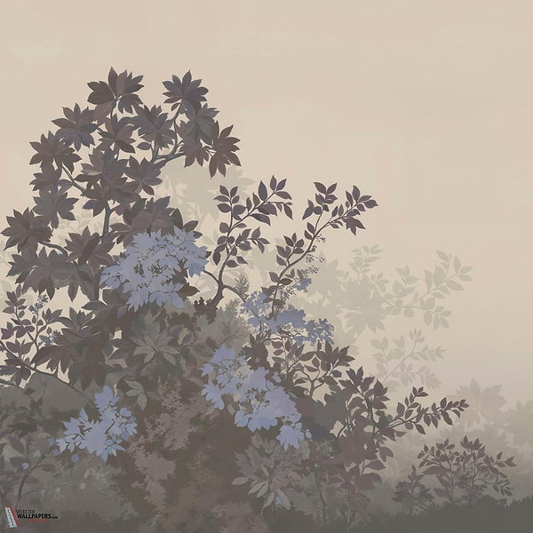 GLXVI382A