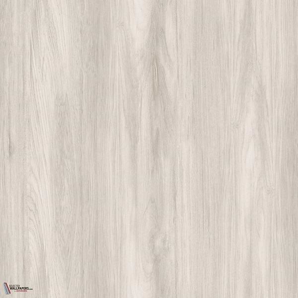 Sugi wallpaper-Masureel-Beech-Roll-Selected Wallpapers-Interiors