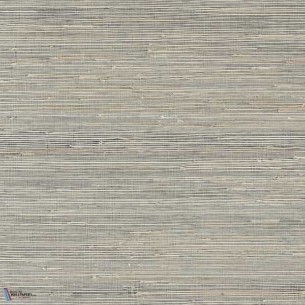 Sydney-Thibaut-Black-Rolle-Selected-Wallpapers-Interiors