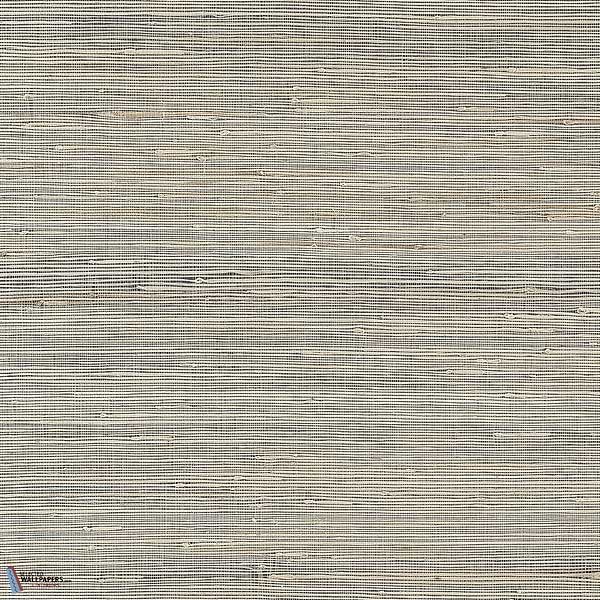 Sydney-Thibaut-Black-Rolle-Selected-Wallpapers-Interiors