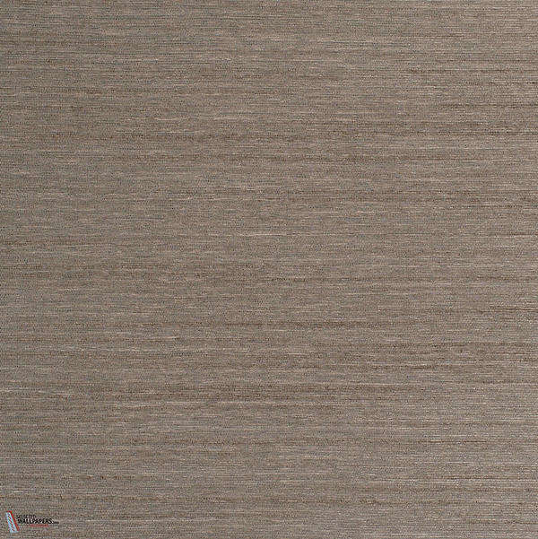 Tal Tapete-Dedar-Bronzo-Meter (M1)-Selected Wallpapers-Interiors