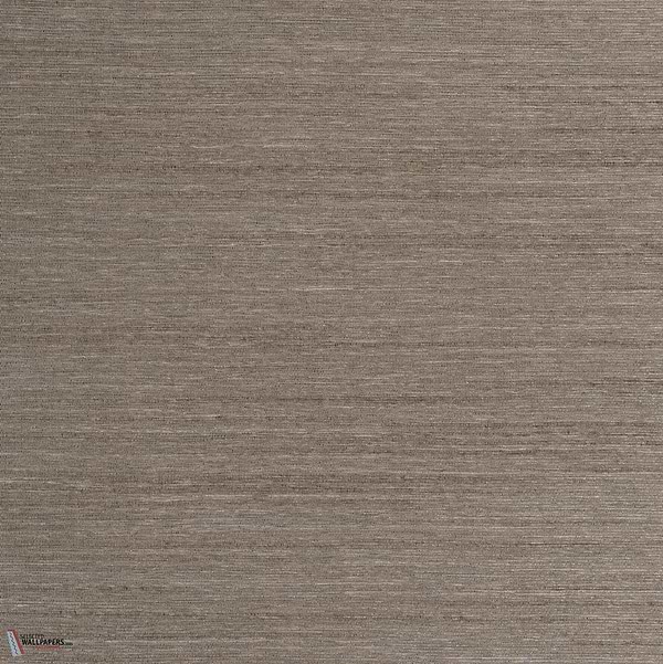 Tal Tapete-Dedar-Bronzo-Meter (M1)-Selected Wallpapers-Interiors