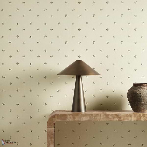 Tidam roomshot