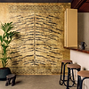 Tigre Royal wallpaper-Elitis-Selected Wallpapers & Interiors