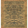 Tigre Royal Tapete-Elitis-1-Set-Selected Wallpapers & Interiors