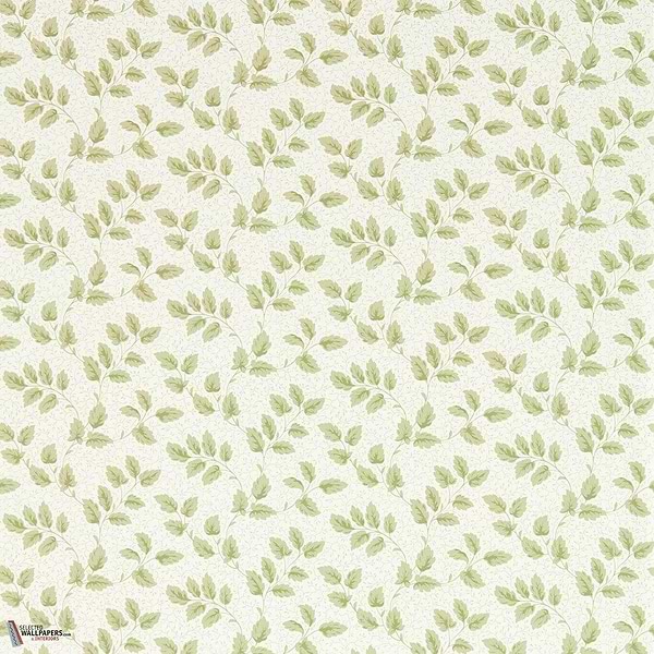 Tomato leaf wallpaper-Sanderson-Leaf green-Roll-Selected Wallpapers-Interiors