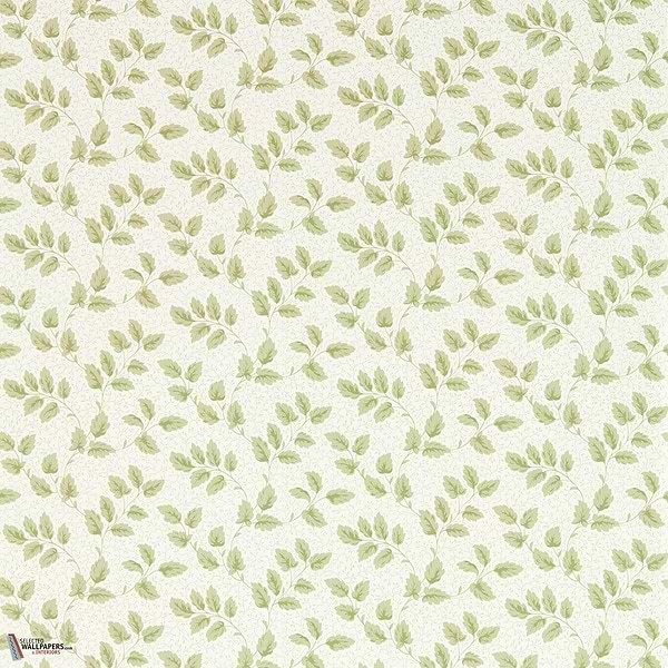 Tomato leaf wallpaper-Sanderson-Leaf green-Roll-Selected Wallpapers-Interiors