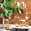 Veracruz-Elitis-Tapete-Selected Wallpapers