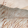 Warm Lake wallpaper-Les Dominotiers-Selected Wallpapers-Interiors