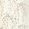 Weeping Blossom Tapete-Thibaut-White-Rolle-Selected Wallpapers-Interiors