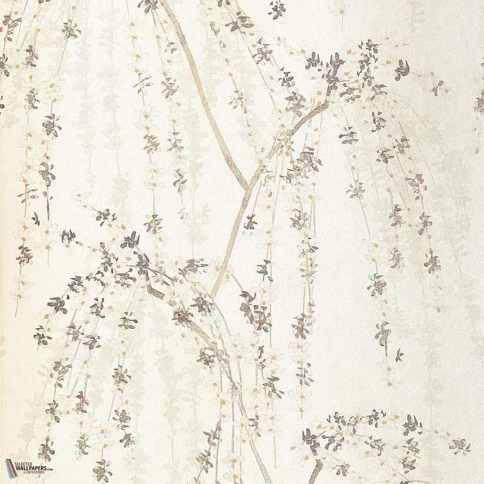 Weeping Blossom Tapete-Thibaut-White-Rolle-Selected Wallpapers-Interiors