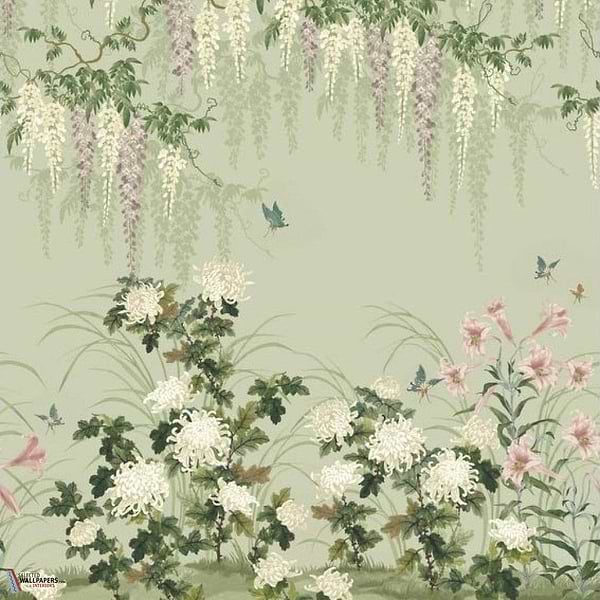 Wisteria Bloom Tapete-1838 wallcoverings-Pistachio-Set-Selected Wallpapers-Interiors