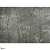 Woods Extra wallpaper-Coordonne-Selected Wallpapers-Interiors