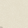 Zebra Tapete-Masureel-Moonbeam-Rolle-Selected Wallpapers-Interiors