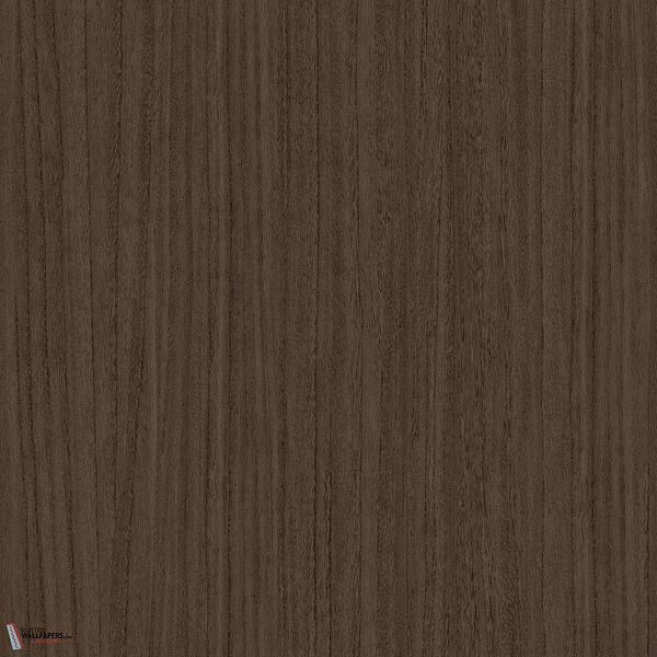 Zebrano Tapete-Casamance-Wenge-Rolle-Selected Wallpapers-Interiors
