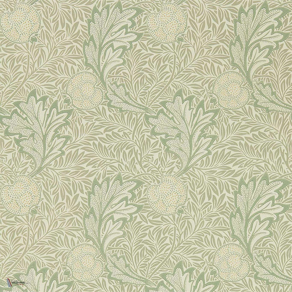 Apple wallpaper in Bay Leaf van Morris & Co