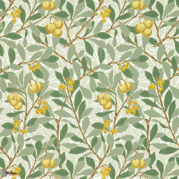 Arbutus Tapete in Sage/Lemon van Morris & Co