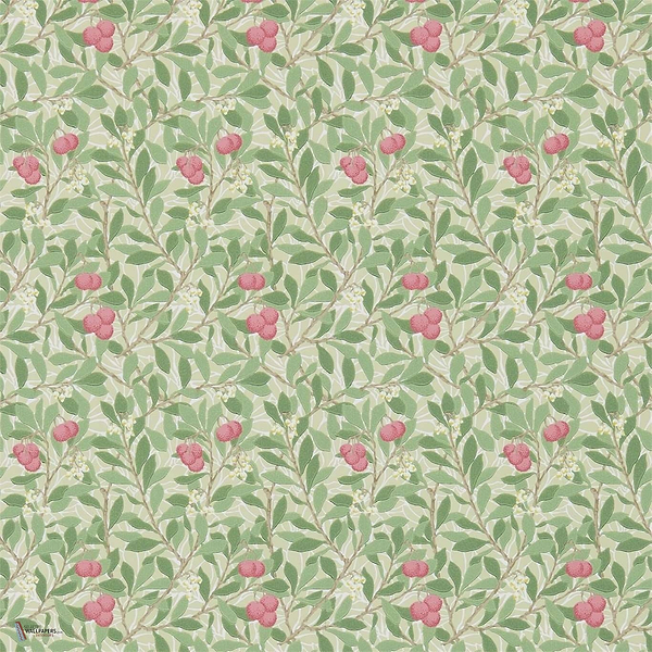 Arbutus wallpaper in Olive/Pink van Morris & Co