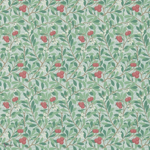 Arbutus wallpaper in Thyme/Coral van Morris & Co