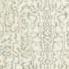 Avington wallpaper in Gray van 1838 wallcoverings