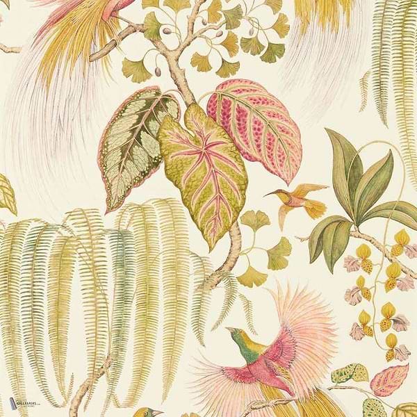 Bird of Paradise wallpaper in Olive van Sanderson