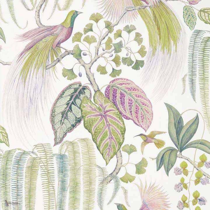 Bird of Paradise wallpaper in Orchid van Sanderson