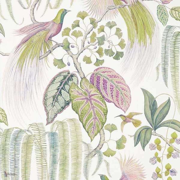 Bird of Paradise wallpaper in Orchid van Sanderson