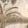 Borneo Tapete in Sepia van Texam