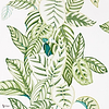 Calathea wallpaper in Green van Sanderson