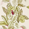 Calathea wallpaper in Olive van Sanderson