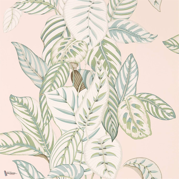 Calathea wallpaper in Orchid van Sanderson