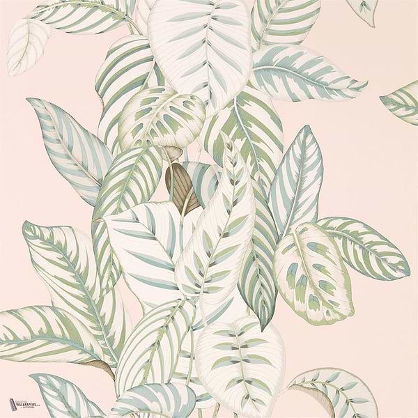 Calathea wallpaper in Orchid van Sanderson