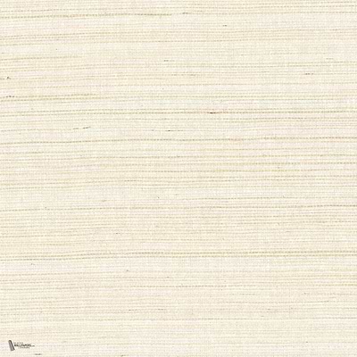 Picta wallpaper in Blanc by Casamance