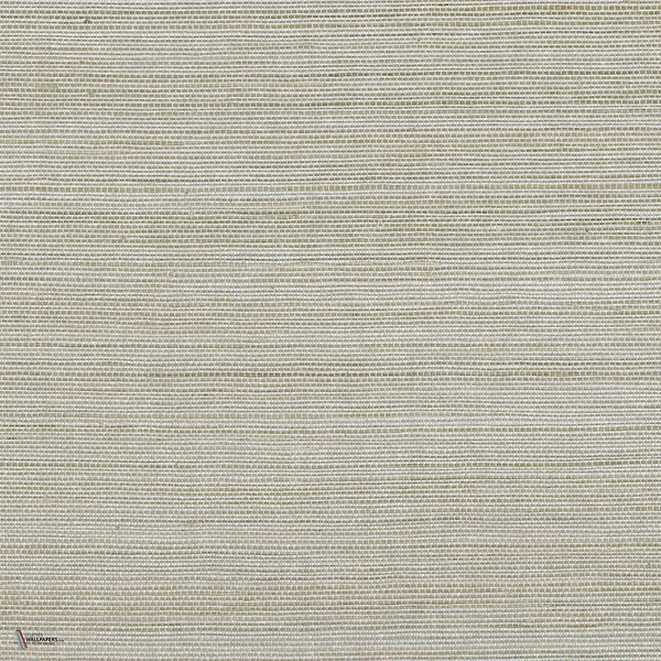 Picta wallpaper in Bronze by Casamance