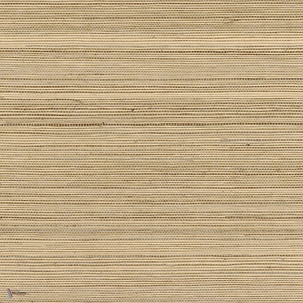 Picta wallpaper in Cappuccino by Casamance