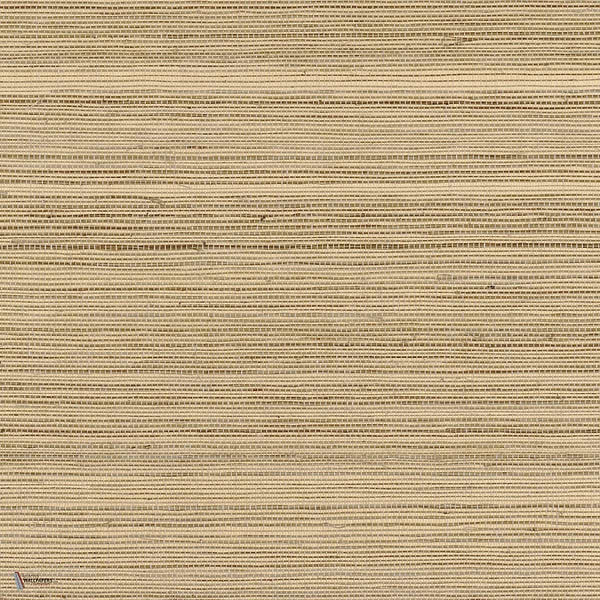 Picta wallpaper in Cappuccino by Casamance