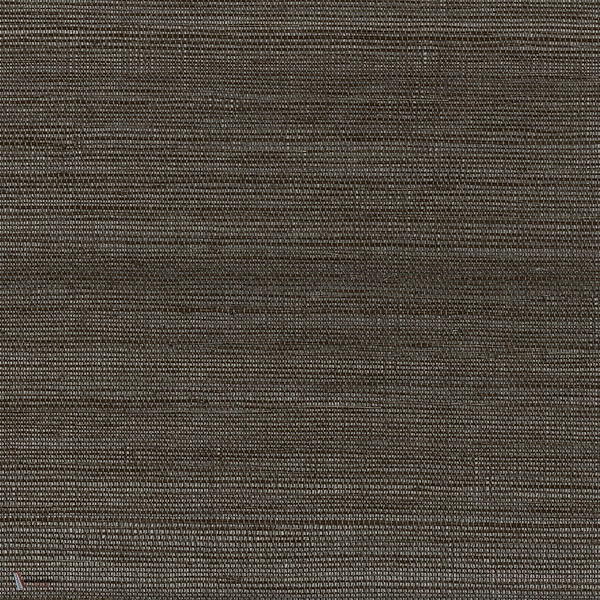 Picta wallpaper in Carbone by Casamance